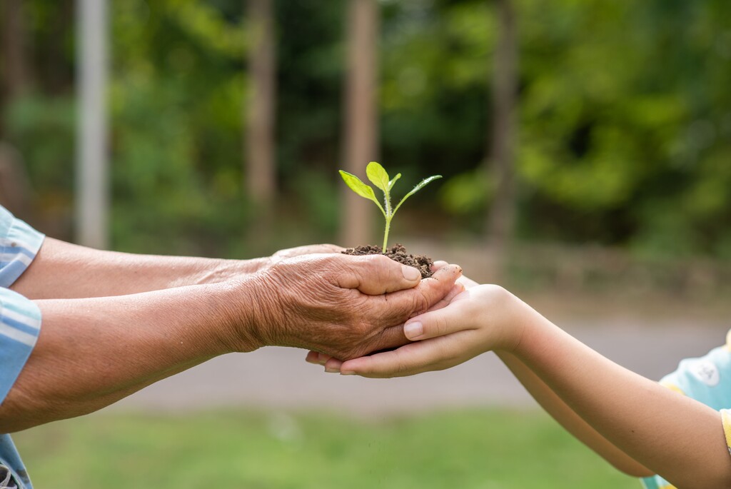 pessoas segurando planta representando os brindes para Semana do Meio Ambiente