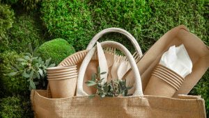 sacola ecológica com brindes para Semana do Meio Ambiente