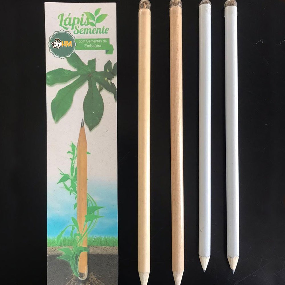 Lápis Semente Personalizado | HM Brindes Lápis Semente Personalizado