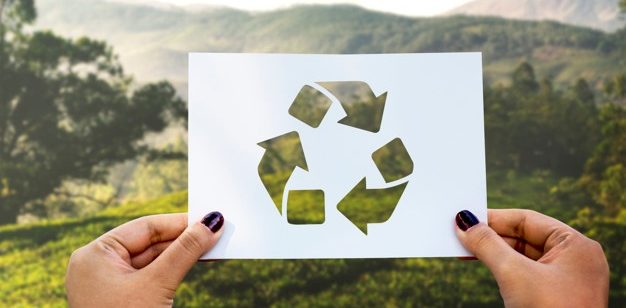 Como produtos ecológicos podem agregar valor a uma marca?