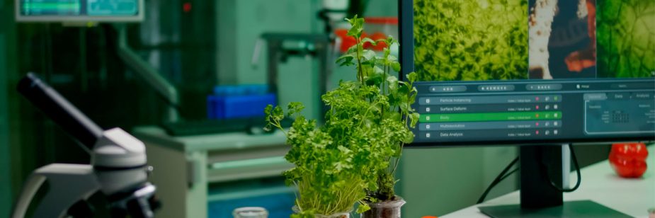 Por que você deve investir em brindes Food Tech?
