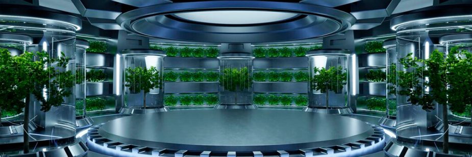 Como atingir consumidores Food Tech com brindes personalizados