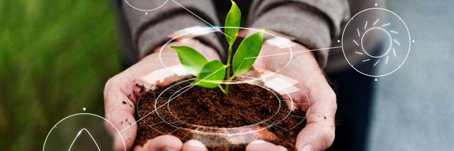 Marketing sustentável: saiba o que é, e a sua importância