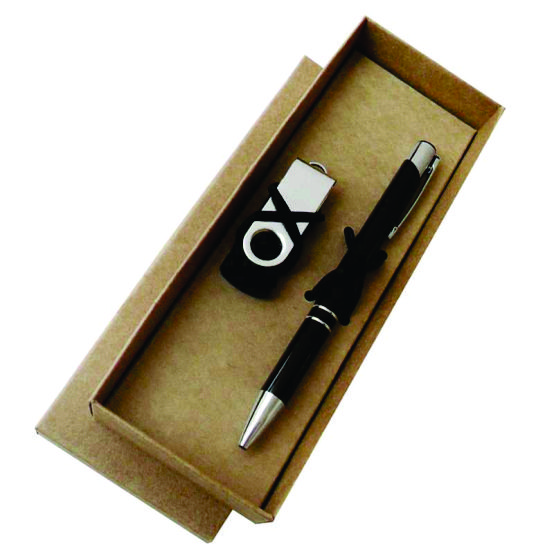 Conjunto esferográfica e pen drive com clipe