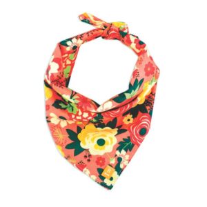 Bandana Personalizada